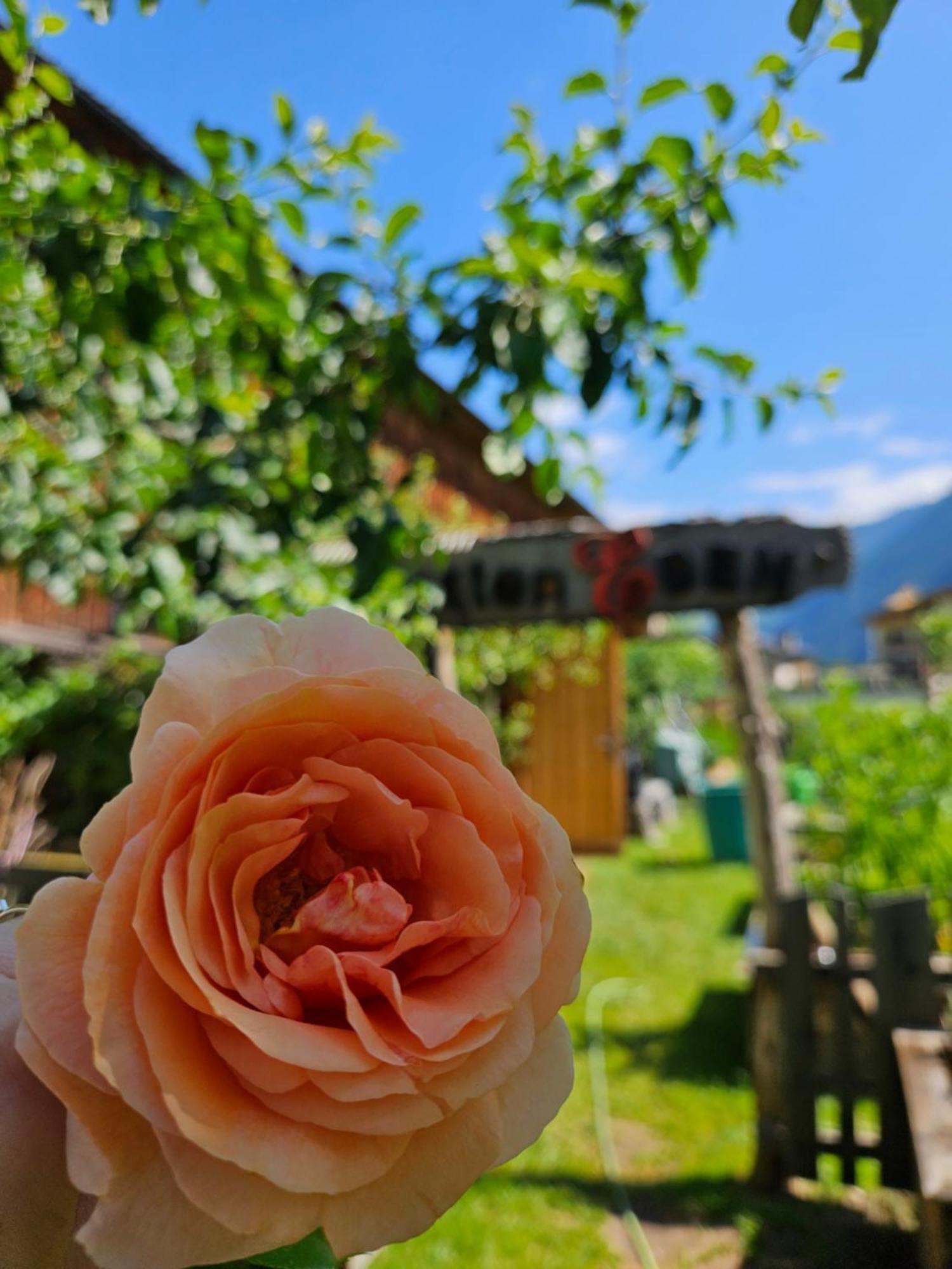 Hotel Edenlehen Mayrhofen Zewnętrze zdjęcie